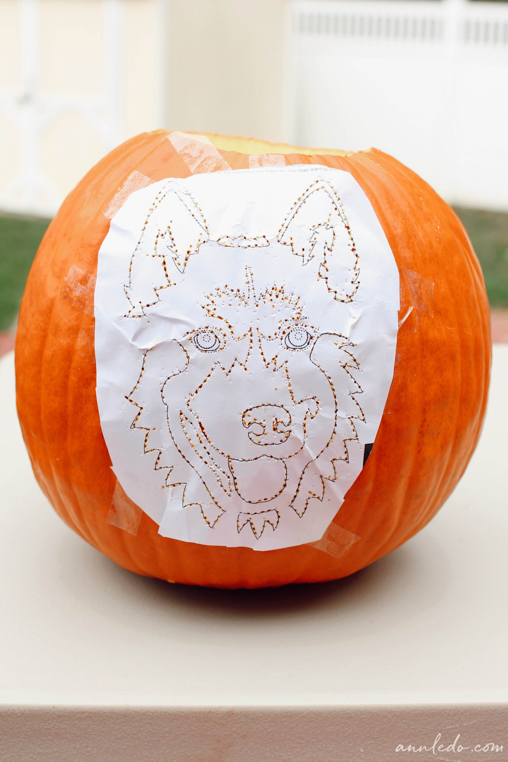 pumpkin-carving-24-free-dog-breed-stencils-ann-le-do